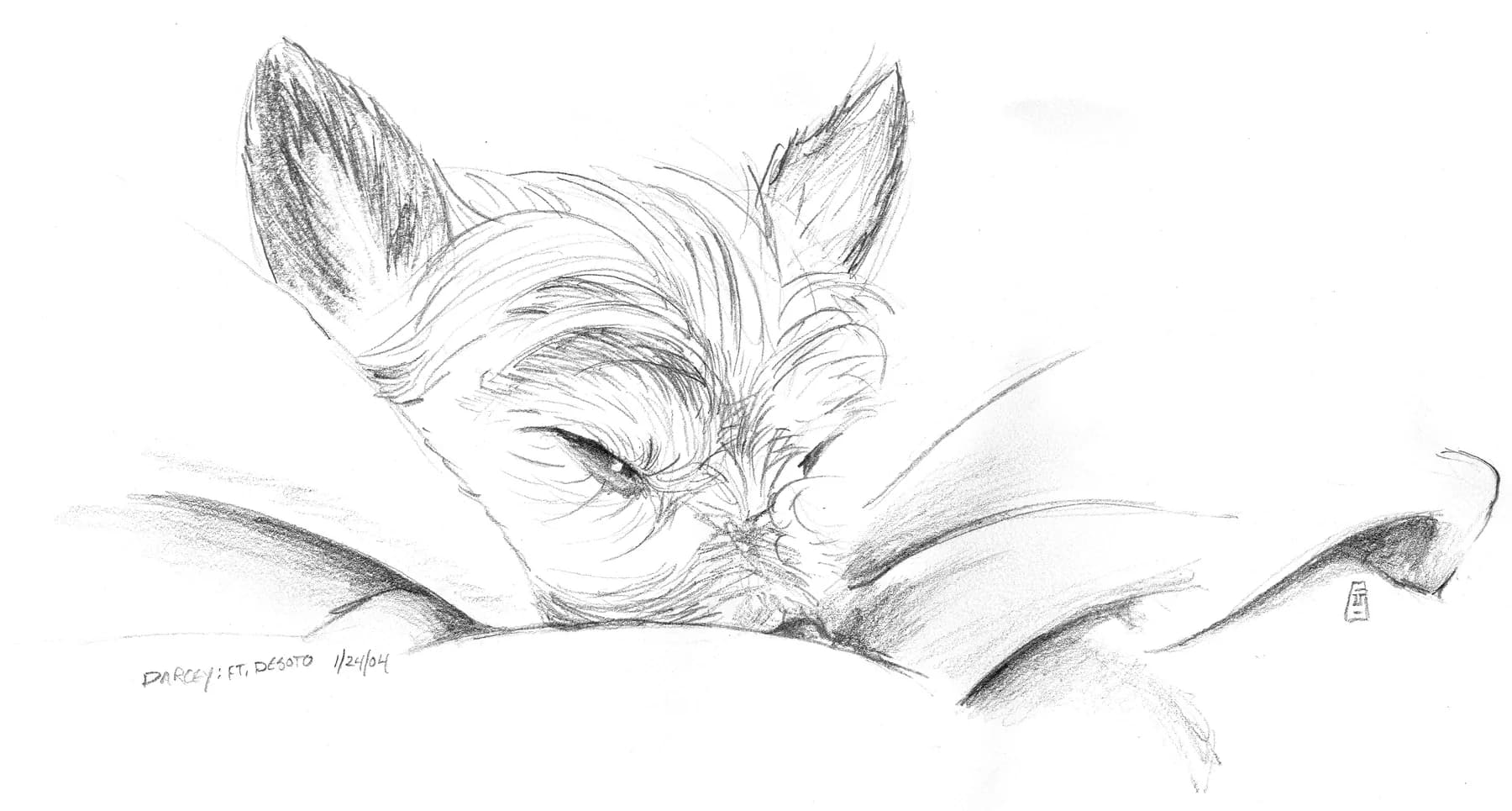 Graphite drawing of a small dog asleep with its head resting on a folded blanket.